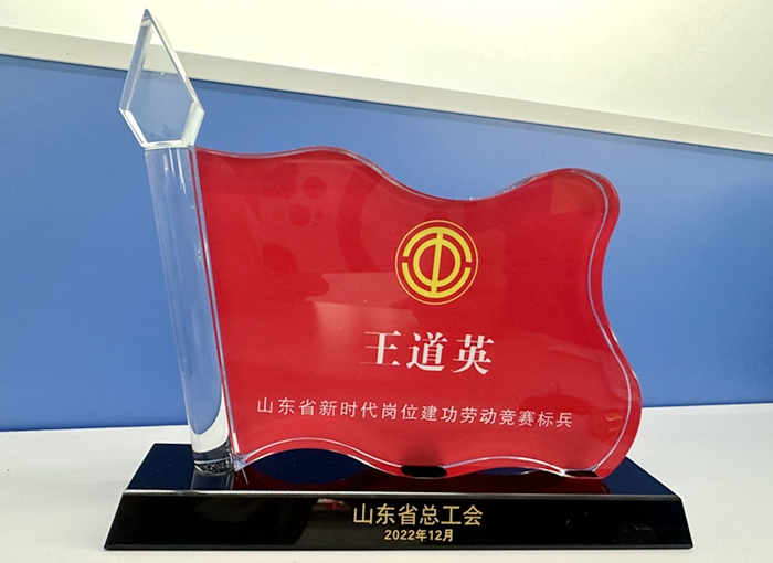 美狮贵宾会会员登录网址员工王道英荣获2022年度山东省新时代岗位建功劳动竞赛标兵称号